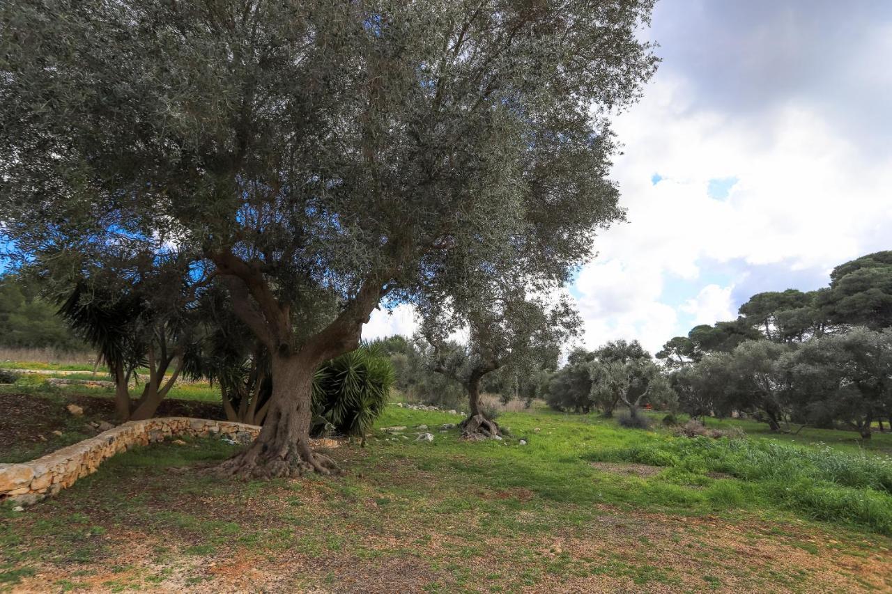 Casina Fumarola Guest House Ostuni Exterior photo