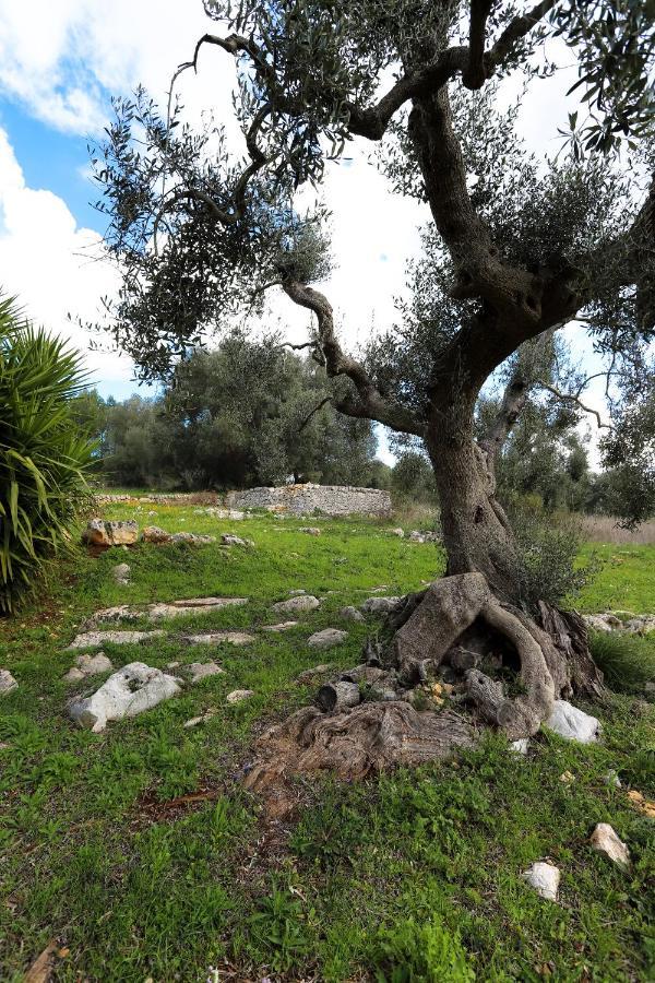 Casina Fumarola Guest House Ostuni Exterior photo